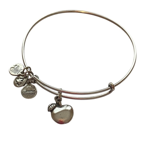 Alex and Ani Apple Of Abundance Bracelet - Picture 1 of 4